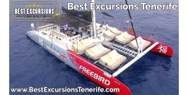 Freebird Catamaran (3 Hours)